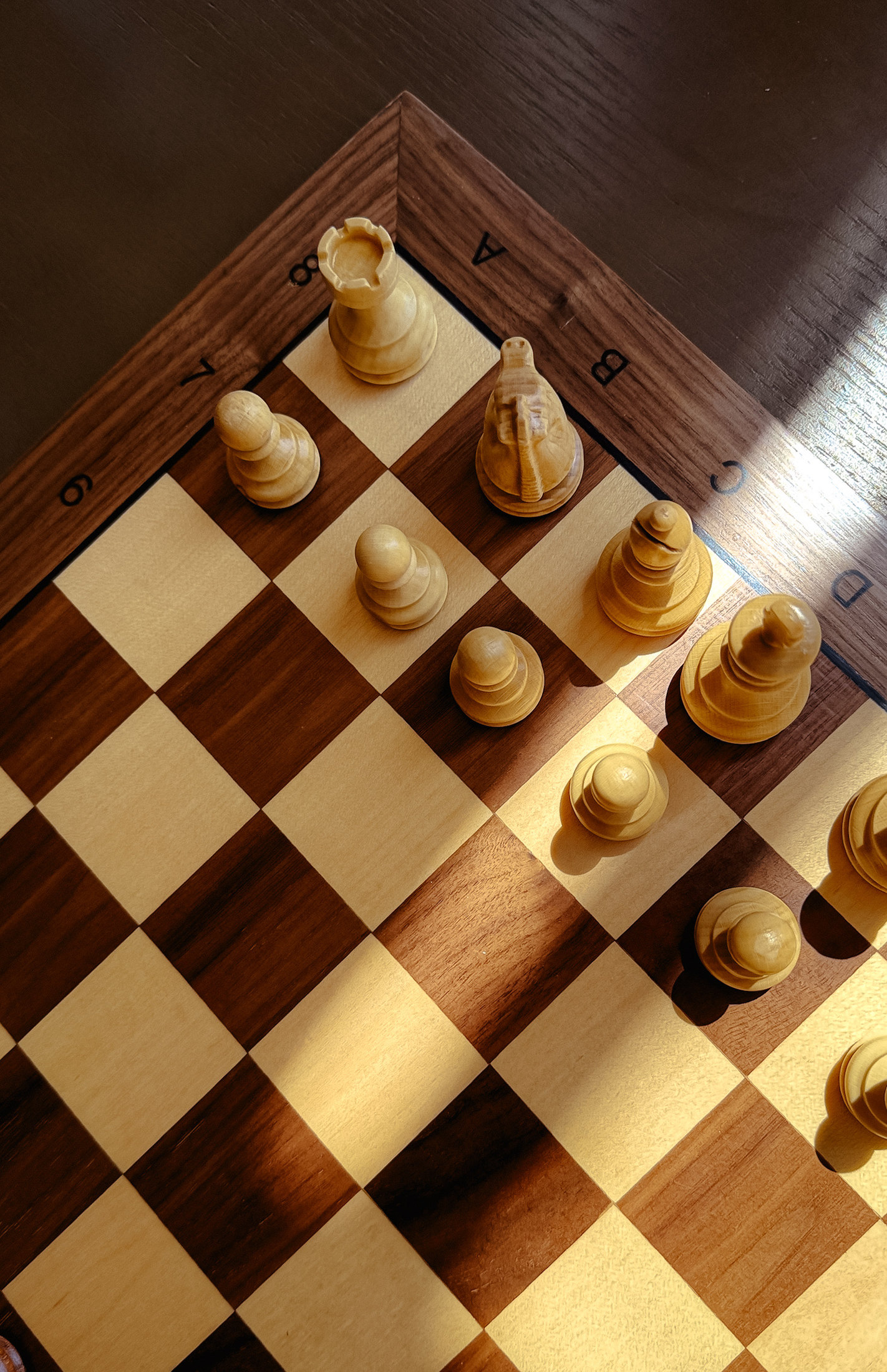 A chess board in afternoon light